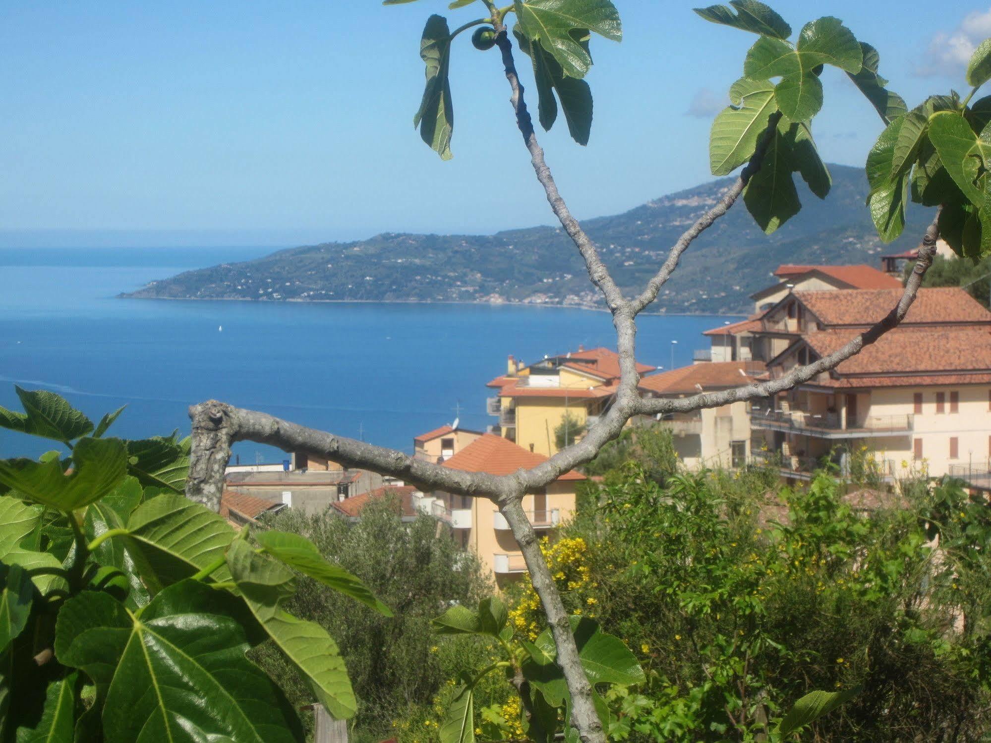 Villa Santa Sofia Ascea Exteriér fotografie